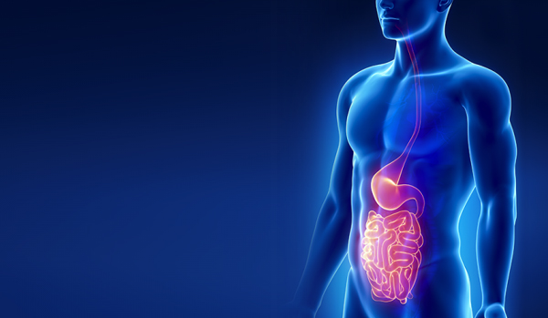 Gastroenterology