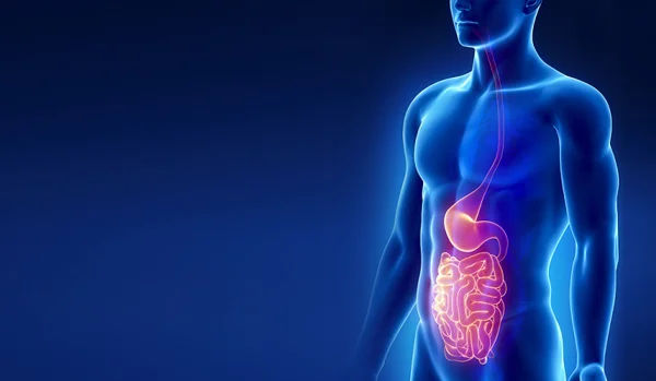 Gastroenterology