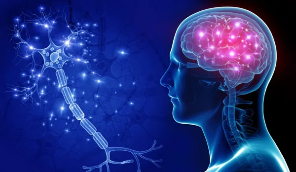 Neurology